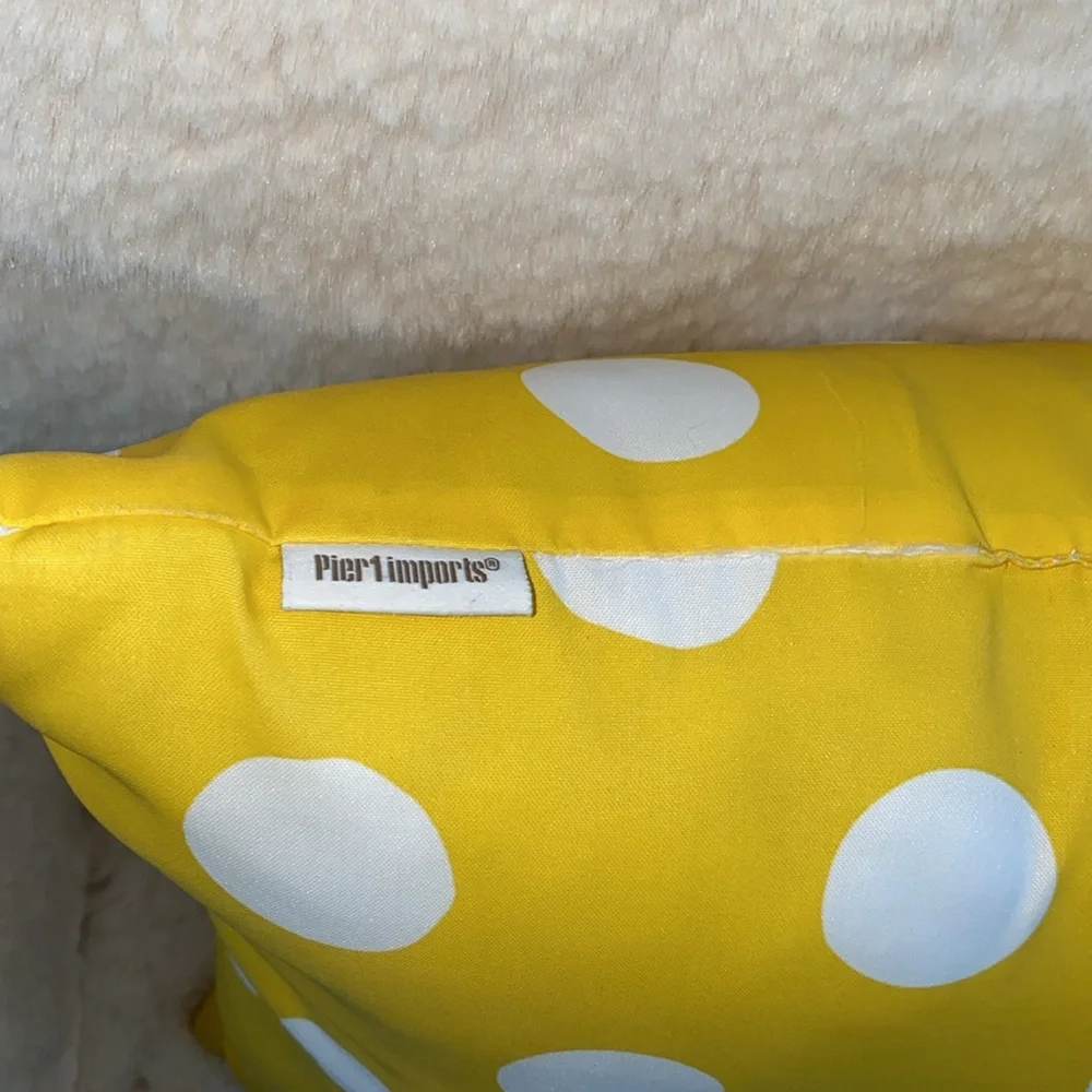Pier 1 Imports Polka Dots Decorative Throw‎ Pillow 16